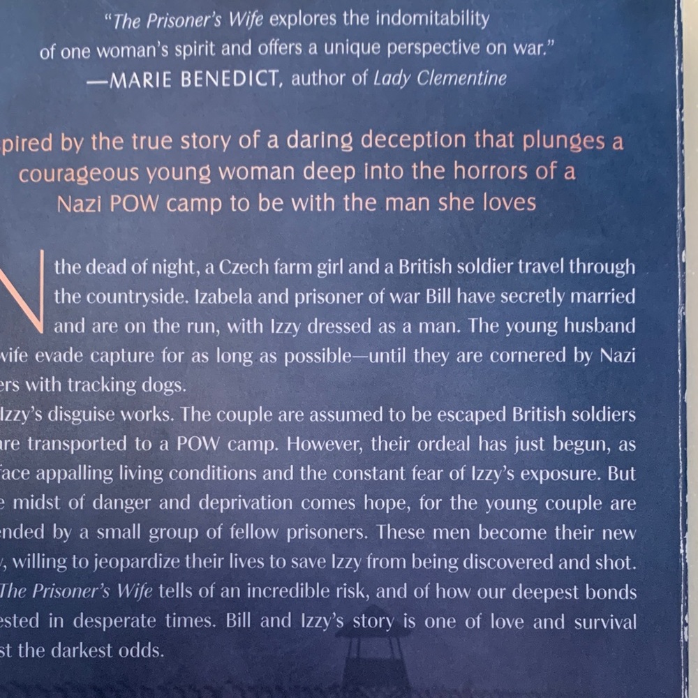 The Prisoner's Wife by Maggie Brookes - Elegant Blue Cover Book - Picture 7 of 8